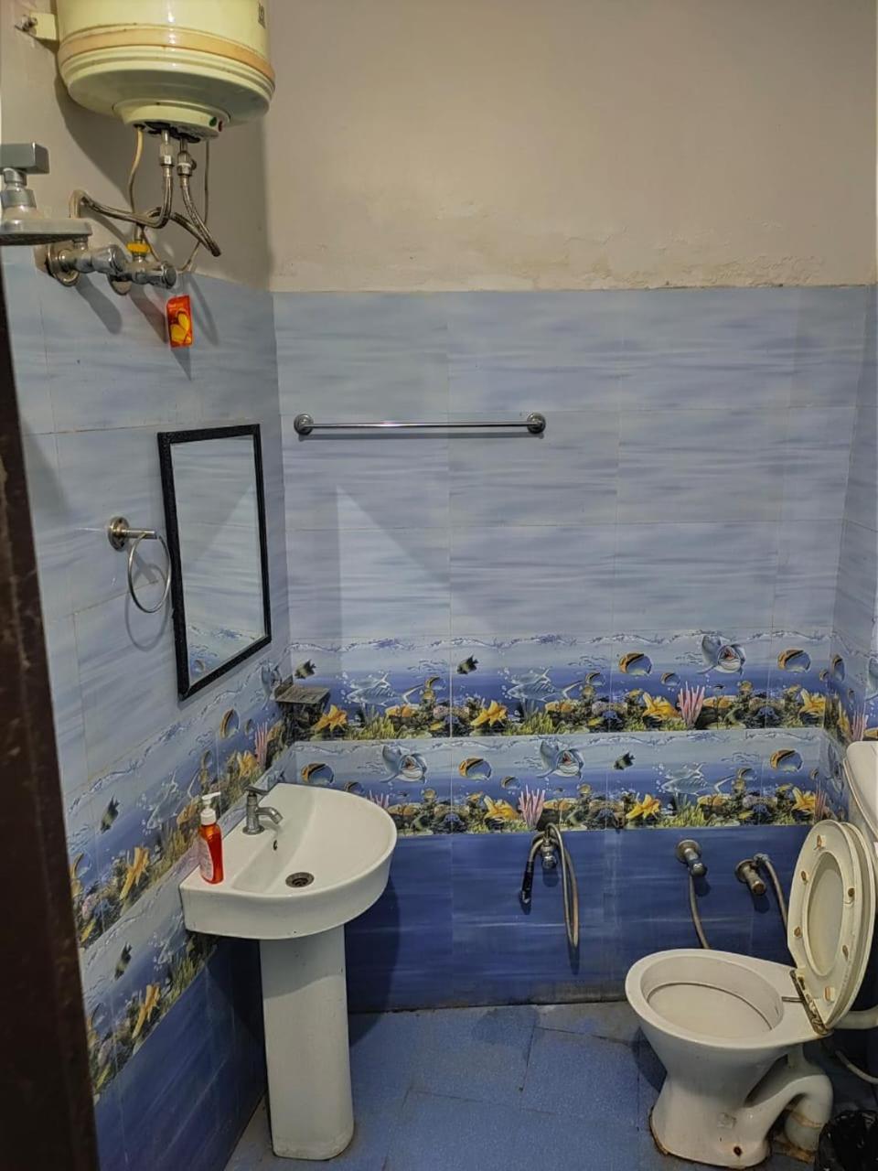 Olt Hostel ริชิเคช ภายนอก รูปภาพ